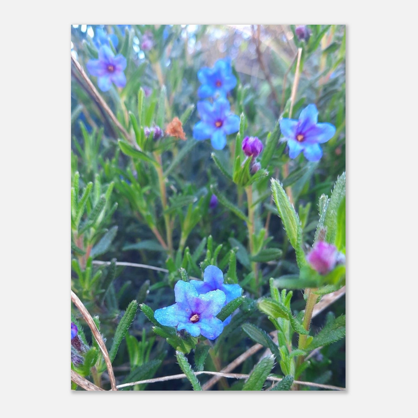 c0d94bc9-e482-4f07-a8ef-a769bbbea65f