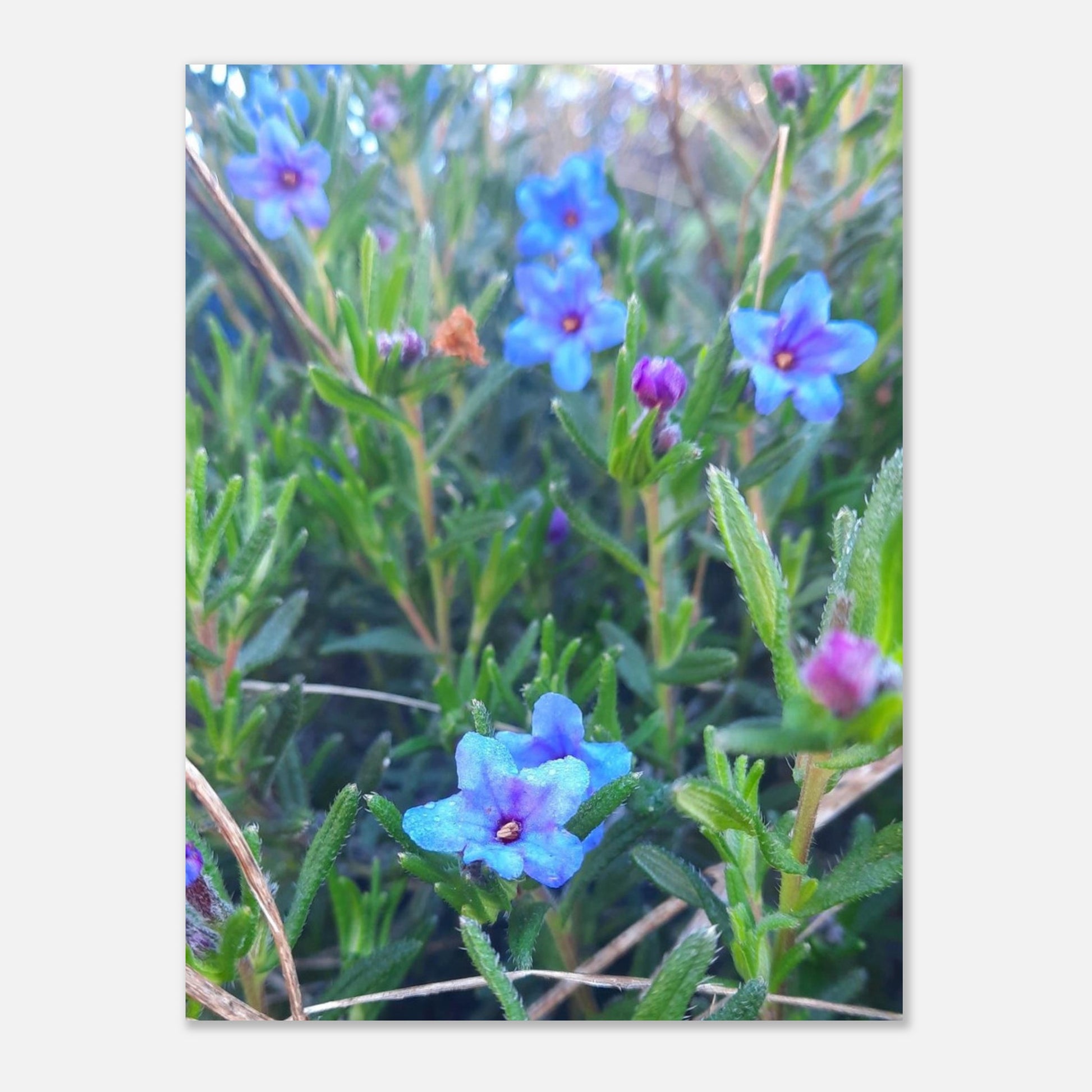 c0d94bc9-e482-4f07-a8ef-a769bbbea65f